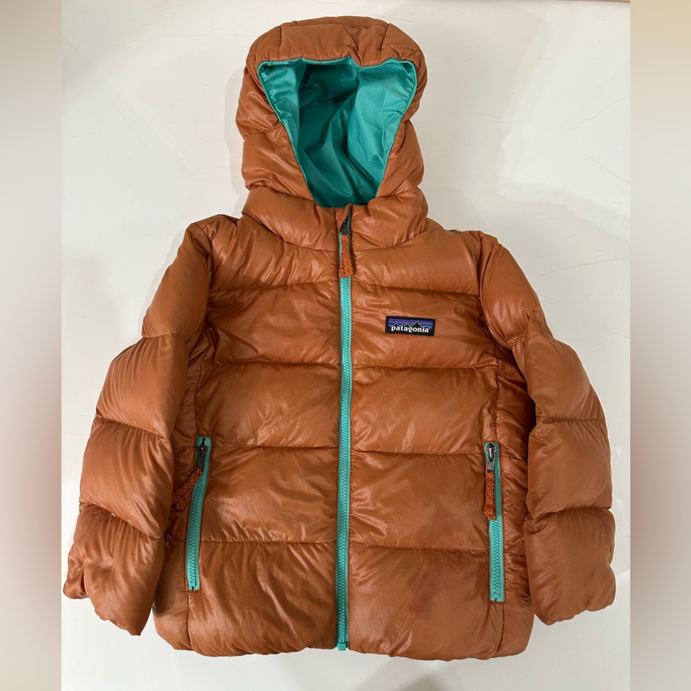 Patagonia Baby Hi-Loft Down Sweater Hoody (Size 3T)